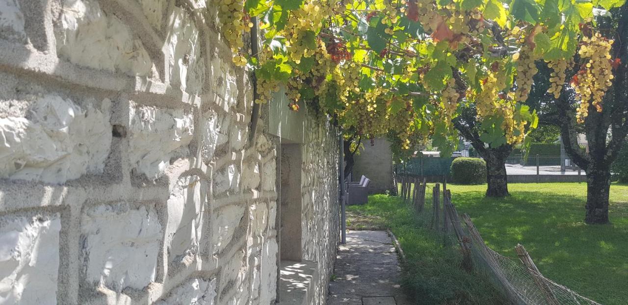 Wifi Clim Garage Jardin Bbq Cosy House Villa Brive-la-Gaillarde Eksteriør bilde